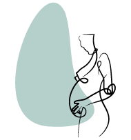 q2 (1)